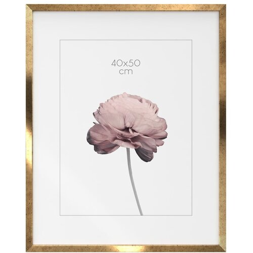 Styler Okvir 42x52 cm Prague - Styler Slike