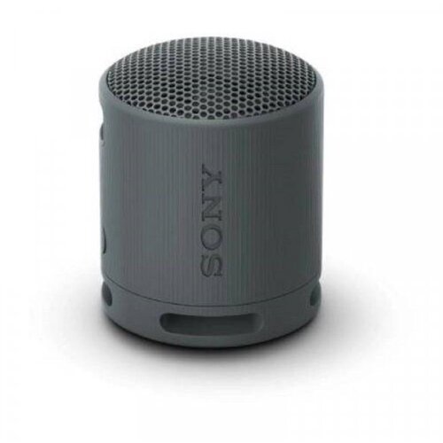 Sony SRSXB100B.CE7 Bluetooth zvučnik funkcija govora slobodnih ruku, zaštićen protiv prskajuće vode crna Cijene