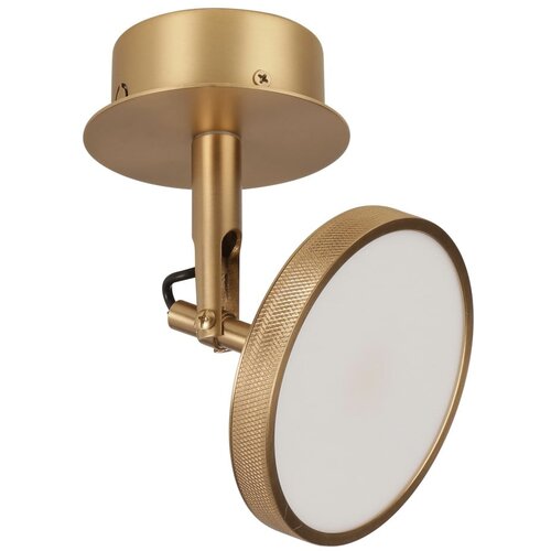UMAGE LED točkovno svetilo v zlati barvi &amp;oslash; 12 cm Asteria Spot &amp;ndash; Slike