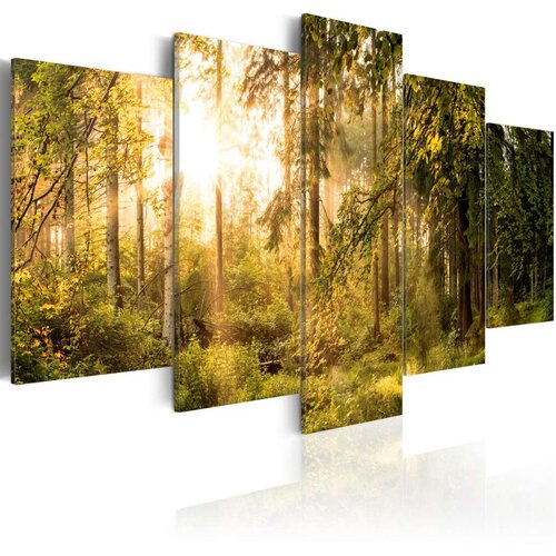  Slika - Magic of Forest 200x100 Slike