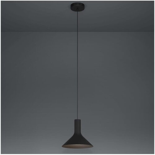 Eglo 390218 -  visilica na sajli morescana 1xE27/28W/230V crna Cene