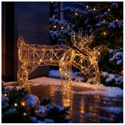 Brilagi LED Spolja&amp;scaron;nja božićna dekoracija LED/3,3W/230V IP44 56x43 cm sob Slike