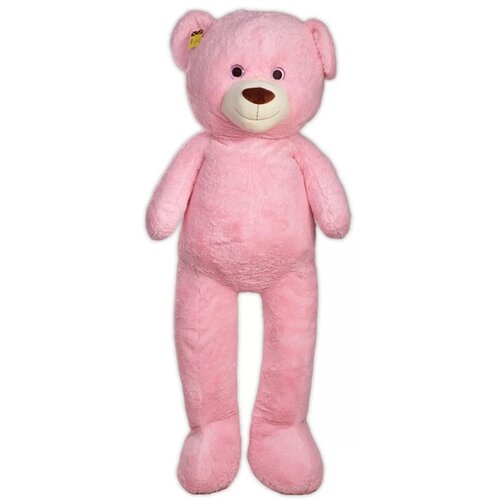  Veliki plišani meda 200 cm - Roze ( 101194r ) Cene