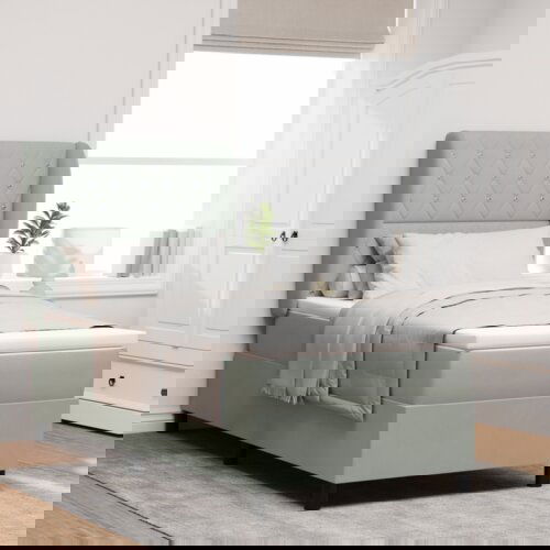 Box Spring Krevet s Madracem Svjetlosiva 100x200 cm Baršun Cijene