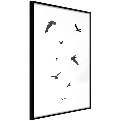  Poster - Birds 20x30