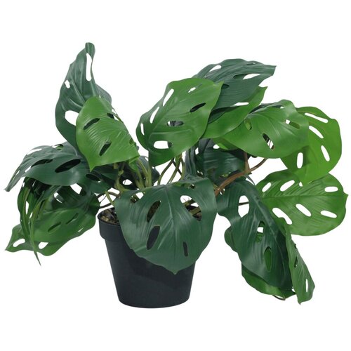DEKOR DOM Ve&scaron;tačko cveće u saksiji Monstera Zd-Bybg19(A)-Pgj, 32 cm Cene