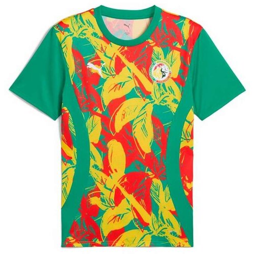  Muški Nogometni Dres Kratkih Rukava Puma Senegal Prematch Ss Zelena Cijene