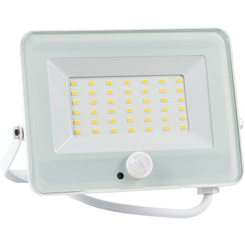 Elmark LED reflektor sa senzorom 30W 4000K IP65 Cijene
