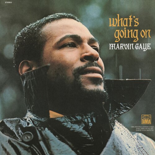 TAMLA MARVIN GAYE - What's Going On (Back To Black LP) Cene