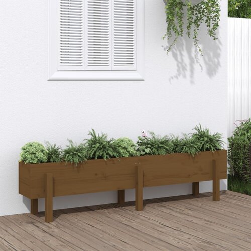 vidaXL Vrtna visoka greda medeno rjava 160x30x38 cm trdna borovina Cene