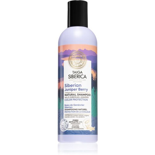Natura Siberica Taiga Siberica Siberian Juniper Berry &amp;scaron;ampon za za&amp;scaron;čito barvanih las 270 ml Slike