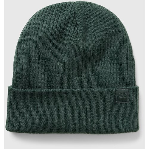GAP Children's hat - Boys Cene