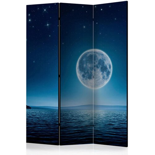 Artgeist PARAVAN 135/172/3 cm svetlo modra, temno modra Slike