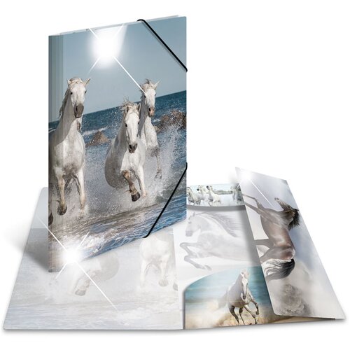 Herma Mapa z elastiko A3 PP, Glossy Konji Slike