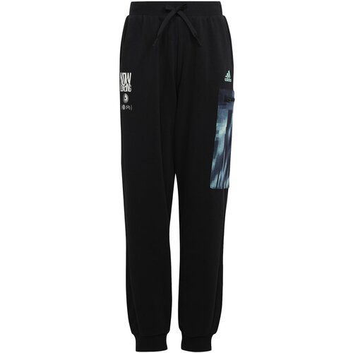 Adidas Spodnji deli trenirke ARKD3 PANT Črna Slike