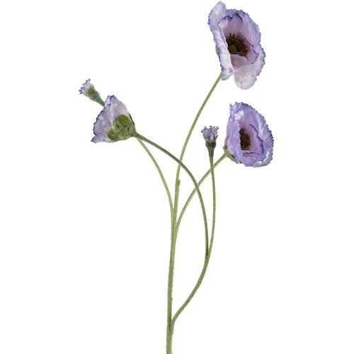 Mondex cvetna vejica plastika Viridis Mak Polni 67cm rdeča 1pc, (5000301154) Slike