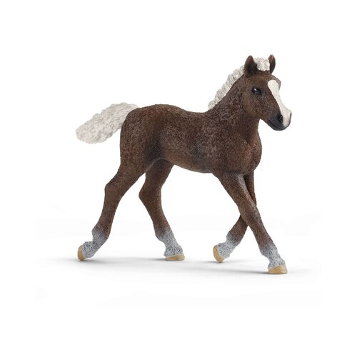 Schleich 13899 - Farm World - žrebe Švarcvaldski lisjak Cene