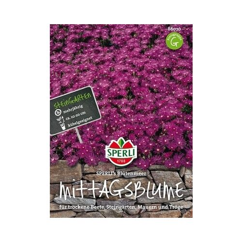 SPERLI Delosperma "Morje cvetov" Cene