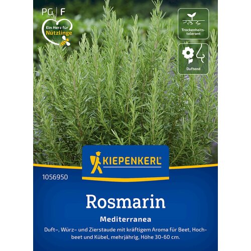 KIEPENKERL Večletni rožmarin - 1 pkt. Slike