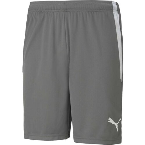 Puma TEAM LIGA SHORTS Muške kratke hlače, siva, veličina Cene