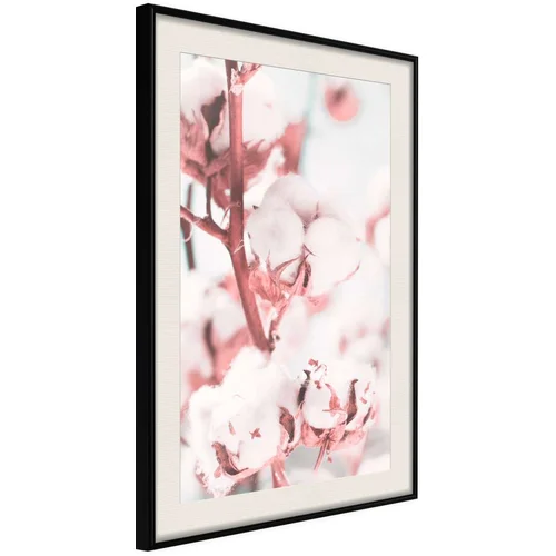  Poster - Cotton Flowers 30x45