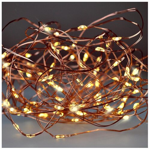  Brilagi - LED lanac 100xLED/3xAA 10m topla bela Cene