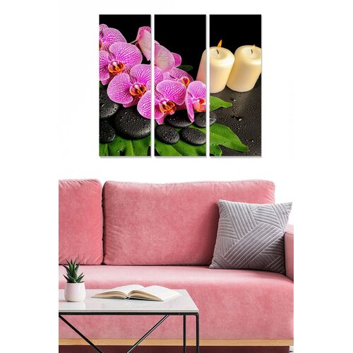 Wallity Set slika MDF8898089, 3 dijela Cene