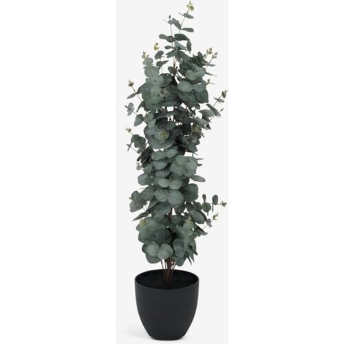  Veštačka biljka V90cm eukaliptus Cene