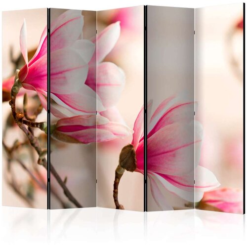  Paravan u 5 dijelova - Branch of magnolia tree II [Room Dividers] 225x172 Slike