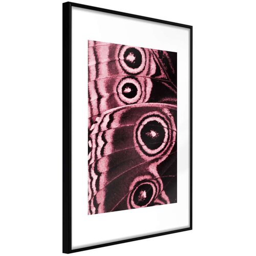  Poster - Butterfly Wings 30x45 Slike