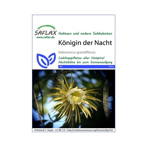Saflax Kraljica noči Cene