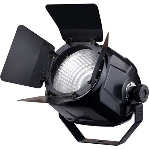 Fractal Lights PAR LED 100 W RGB Slike