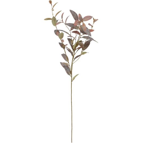 Atmosphera UMJETNO CVIJEĆE EUKALIPTUS JAMES 103CM PES/PE ZELENA Slike