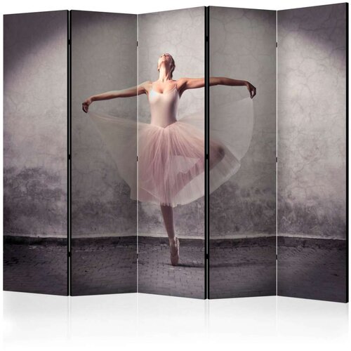  Paravan u 5 dijelova - Classical dance - poetry without words II [Room Dividers] 225x172 Cijene