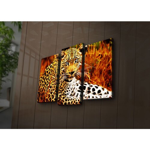 Wallity Set slika sa LED osvetljenjem 3PATİACT-24, 3 Dela Cene