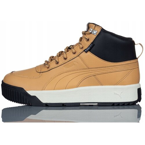 Puma Visoke superge Tarrenz Sb Puretex pisana Cene