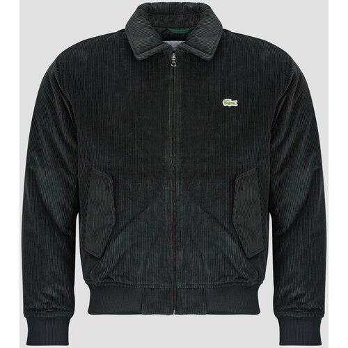 Lacoste Blouson aviateur rembourr&amp;eacute; en velours c&amp;ocirc;tel&amp;eacute; Crna Slike