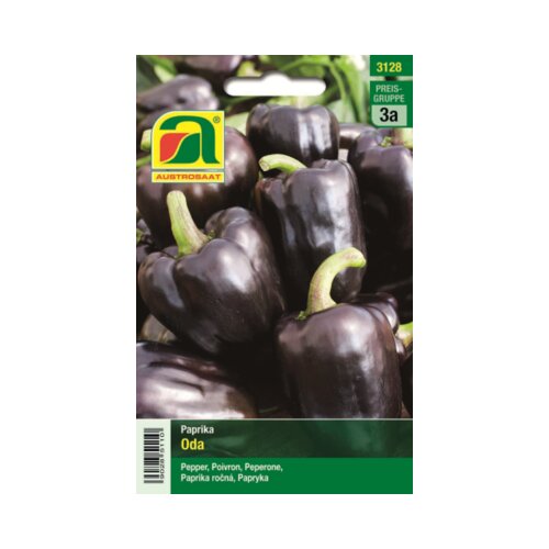 AUSTROSAAT Vijolična paprika &amp;quot;Oda&amp;quot; Slike