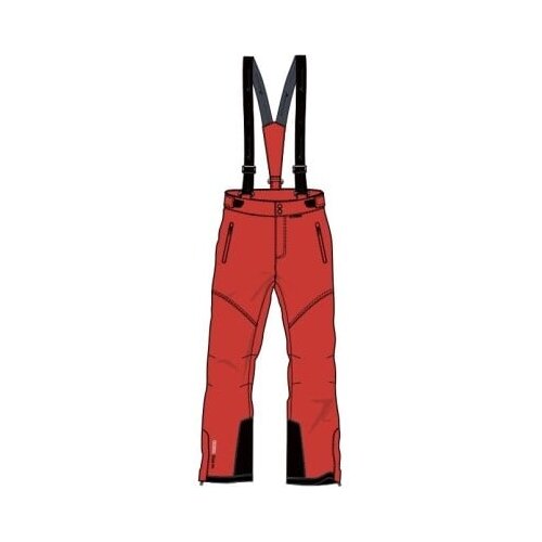 Whistler Children's ski pants DRIZZLE Cene
