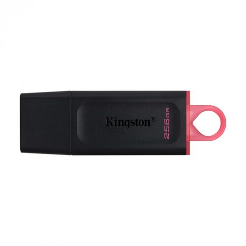  Memory stick Kingston 256, 3.2, DTX/256GB DataTraveler Exodia Cijene