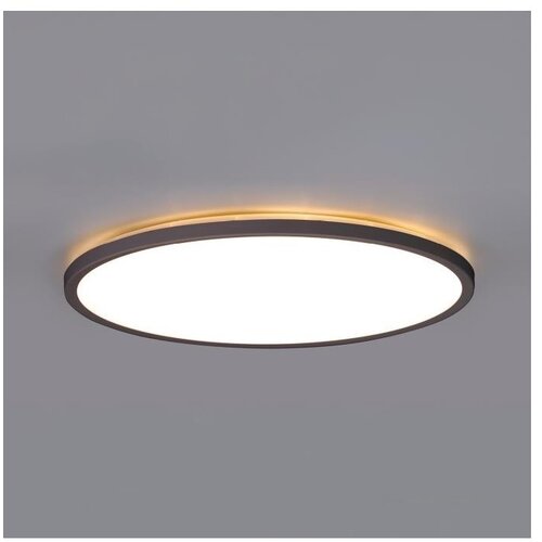  LED kupatilsko svetlo sa senzorom NIVERA LED/12W/230V IP54, prečnik 22,5 cm, crno + daljinski upravljač Cene