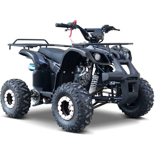 Quad na benzin WILDPEAK 110cc - crni Cijene