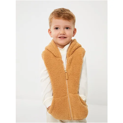 LC Waikiki Hooded Collar Baby Boy Zipper Plush Vest