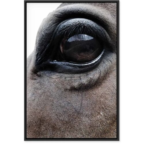  Slika - Honest Eyes (1 Part) Vertical 40x60 U crnom drvenom okviru Slike