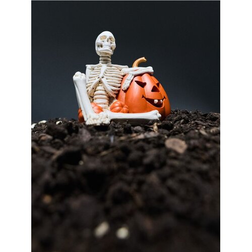 Sinsay LED Halloween dekoracija u obliku kostura i bundeve Slike