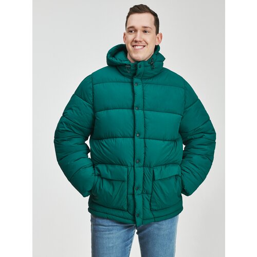 GAP Winter Hooded Jacket - Men Slike