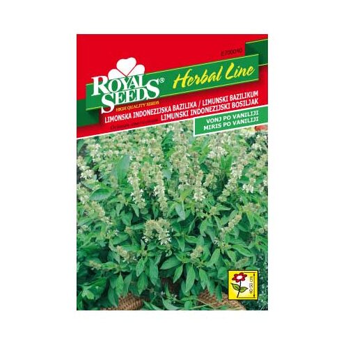 ROYAL SEEDS Sjeme začina HERBAL LINE 40 LIMONSKA INDONEZIJSKA BAZILIKA Cijene