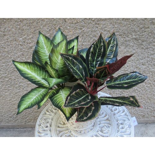Lilium veštačka biljka dracena u 2 boje 40 cm 646342 Cene