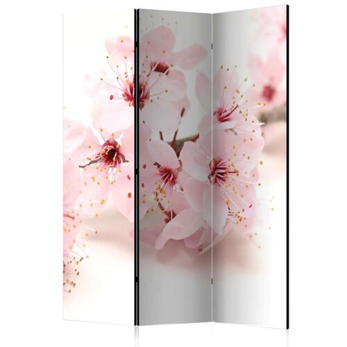  Paravan u 3 dijela - Cherry Blossom [Room Dividers] 135x172 Slike