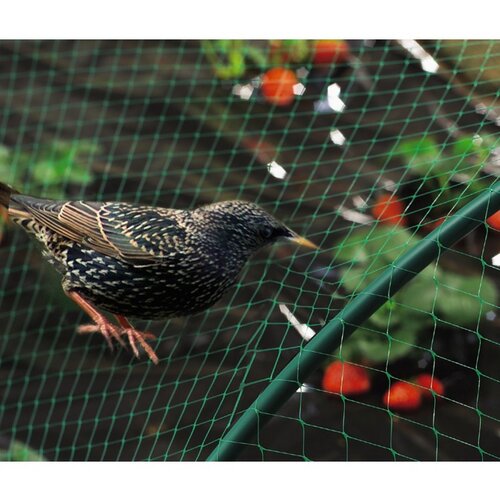 Nortene Mreža za zaščito pred pticami Birdnet (2 x 5 m, zelena) Cene